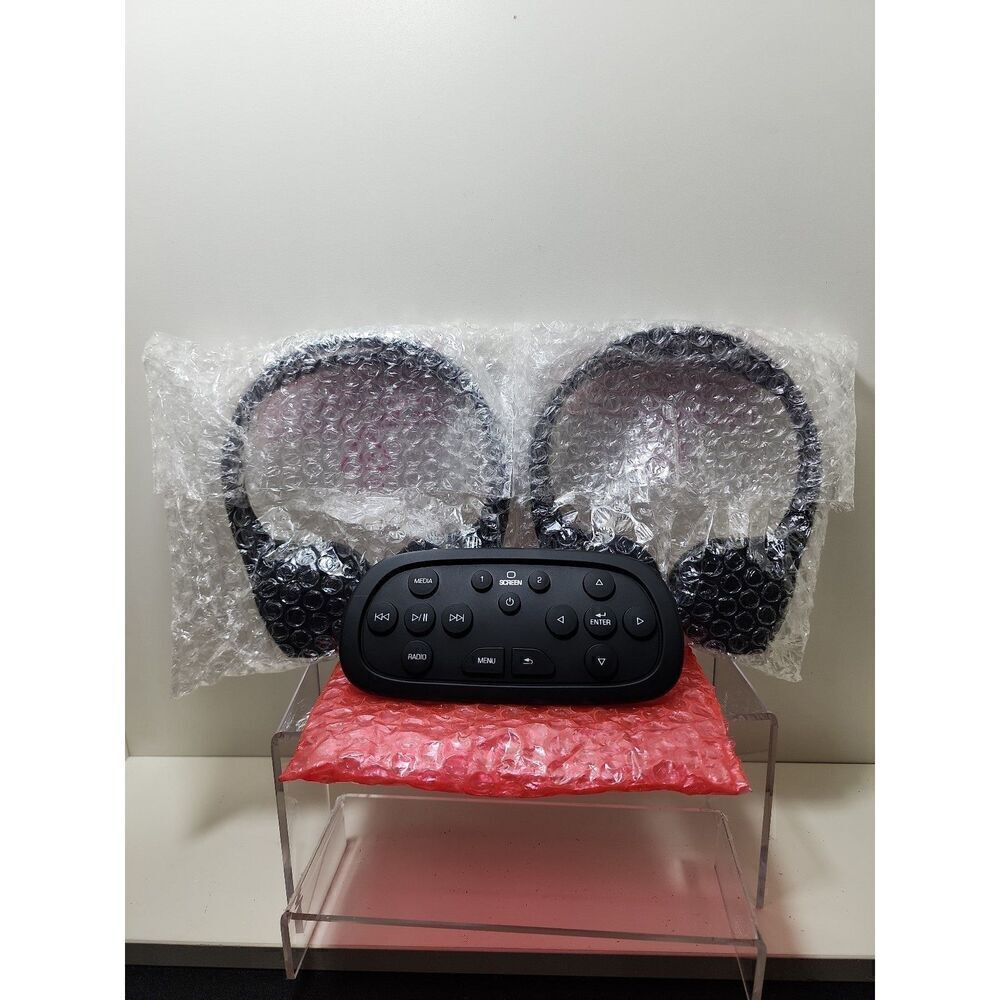 GM Video Remote Control and Bluetooth Headphones (2)